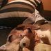 Sandra Wilbert - Facebook