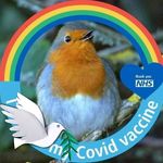 Sandra Wilford - @swilford70 - Instagram