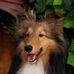 Sandra Wilkens - Facebook