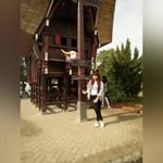 Sandra Willson - @sandrawillson977 - Instagram