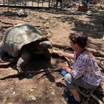 Sandra Wilmes - @ansandra311 - Instagram