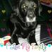 Sandra Windisch - Facebook