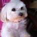 Sandra Winebrenner - Facebook