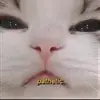 sandrawines5 - @sandrawines5 - TikTok