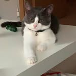 Sandra Winkelmann - @sandra.winkelmann1972 - Instagram