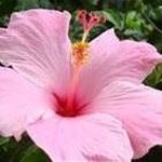 Sandy Winner - @sandy_is69 - Instagram