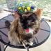 Sandra Winslow - Facebook