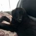 Sandra Winslow - Facebook