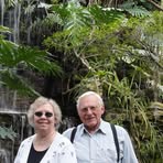 Sandra Wisch - Facebook