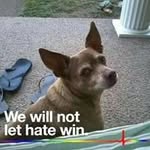 Sandra Withrow - @sandra.withrow1 - Instagram