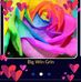 Sandy Withrow - Facebook