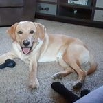 Sandy Pauly Wittenberg - @sandywittenberg - Instagram