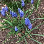Sandy WIttenberg - @wittenbergsandy - Instagram