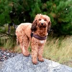 Sandra wittich - @wittich.sandra - Instagram
