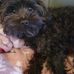 Sandra Wittmann - Facebook