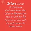 sandrawittmann357 - @sandrawittmann357 - TikTok