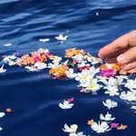 Sandra Foster Wolfinger - @sandrawolfinger - Instagram
