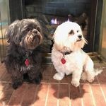 Sandra Lloyd Woodall - @sandra.l.woodall - Instagram