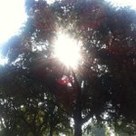 Sandra Woodall - @hehealturn - Instagram