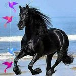 Sandra Woodall - @sandra.woodall.73307 - Instagram