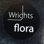 Sandra Wright - @wrightsflora - Instagram