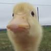 sandrawrobel - @sandra...004 - TikTok