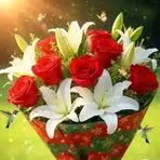 Sandra Ann - Facebook