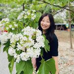 Sandra Yeh - @sandrayeh1006 - Instagram