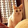 Sandra Yeh - @sandra.yeh3 - TikTok