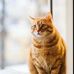 Sandra Yeo - Facebook