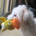 Sandra Yeo - Facebook