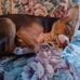 Sandra Young - Facebook