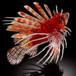 sandrafirecreation - @sandrayoungglass - Instagram