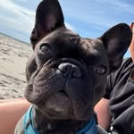 Sandra - @sandra_zahn_ - Instagram