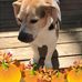 Sandra Zastrow - Facebook