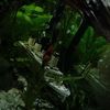Sandra Jasmin  Zinke - @sandra.zinke2006 - TikTok