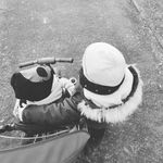 Sandra Zinke - @lulelo689 - Instagram