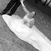 Sandrine Joly - Facebook