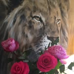 Sandrine Joly - @joly2201 - Instagram