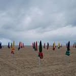 Sandrine Joly - @joly.sandrine - Instagram