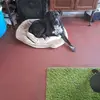 Sandrine Joly - @sandrine.joly4 - TikTok