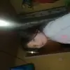 sandroalbangallar3 - @sandroalbangallar3 - TikTok