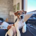Sandro Rosati - @standrino75 - Instagram