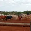 Sandro Vera - @sandro.vera97 - TikTok