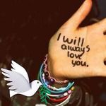 Sandy Aaron - @aaronsandy160 - Instagram