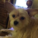 Sandy Aaron - @sandyaaron60 - Instagram