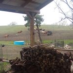 Sandy Aaron Harvey - @sandyaaronharvey - Instagram