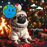 Sandy Aaron Romero Franco - @sandyaaronromerofranco - Instagram