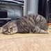 Sandy Abrahams - Facebook