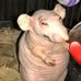 Sandy Ackerman - Facebook